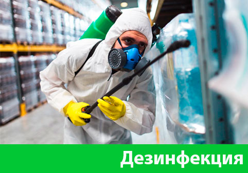 Дезинфекция в городе Мариинск