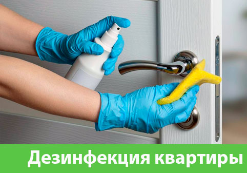 Дезинфекция квартиры в городе Мариинск