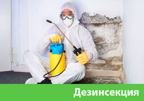 Дезинсекция в городе Мариинск