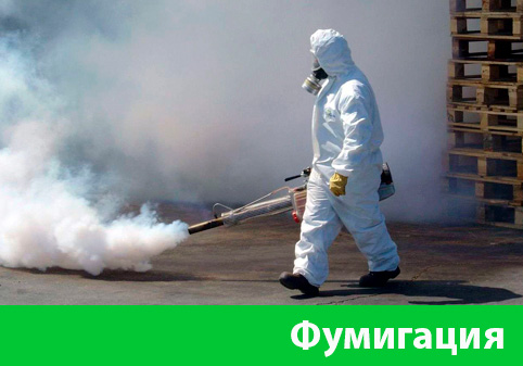 Фумигация в городе Мариинск