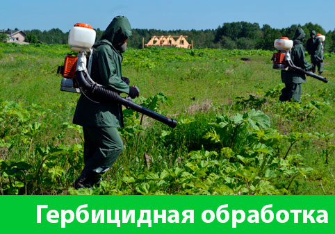 Гербицидная обработка в городе Мариинск