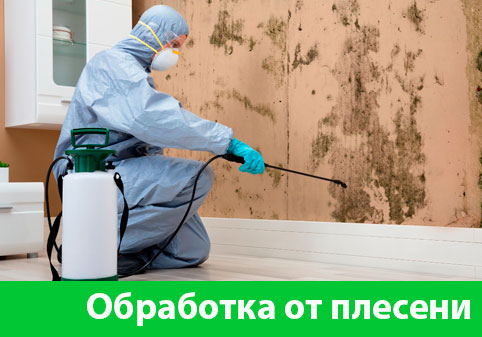 Обработка от плесени в городе Мариинск