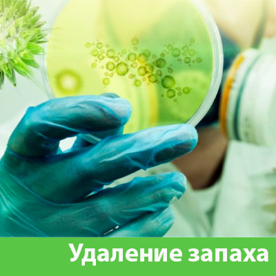 Удаление запахов в Мариинске