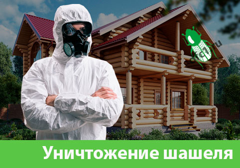 Уничтожение шашеля и личинок в Мариинске