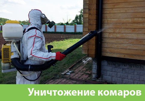 Уничтожение комаров в городе Мариинск